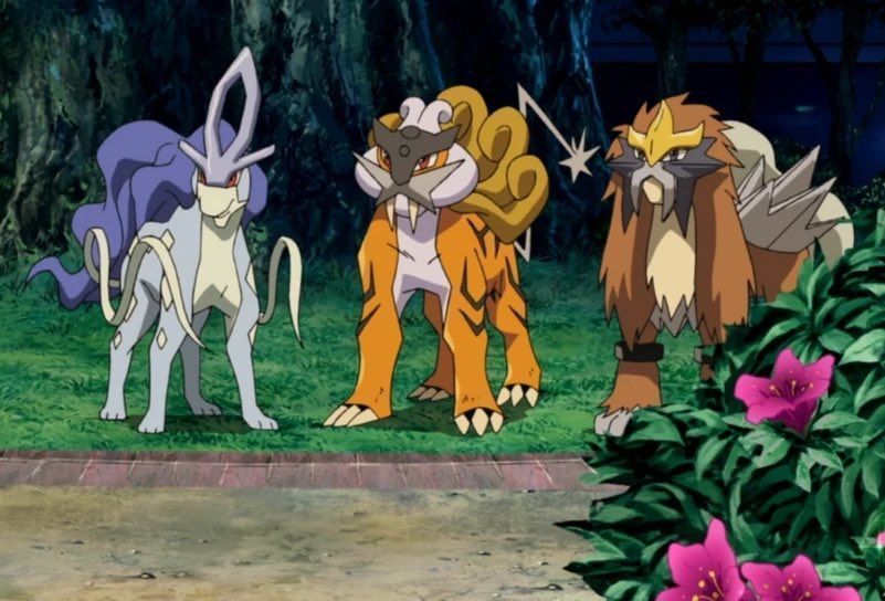 Pokémon Daily tweet media