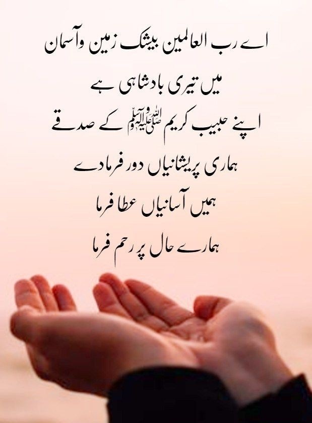 ꧁ քʀɛƈɨօʊֆ քɛǟʀʟ ꧂ tweet media