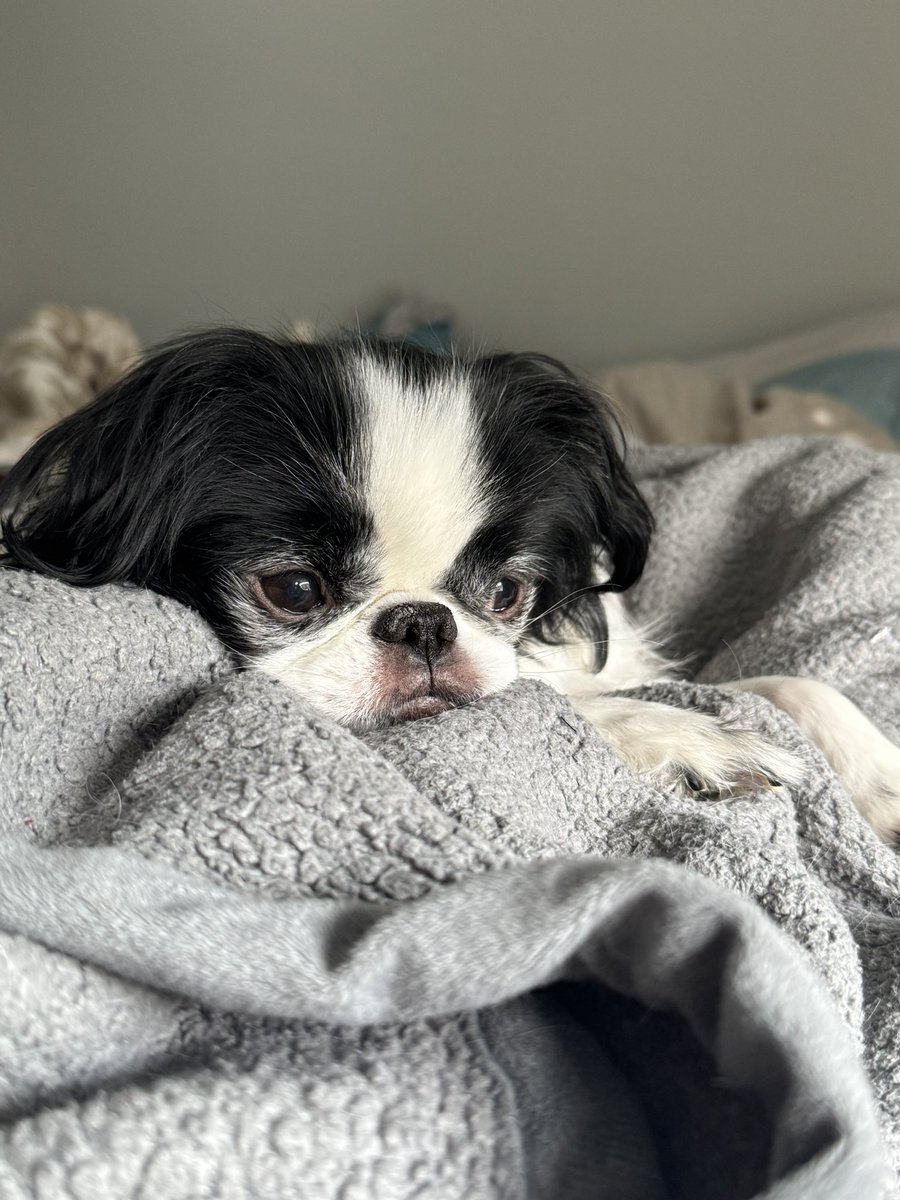 Tori Elizabeth ✨ tweet media