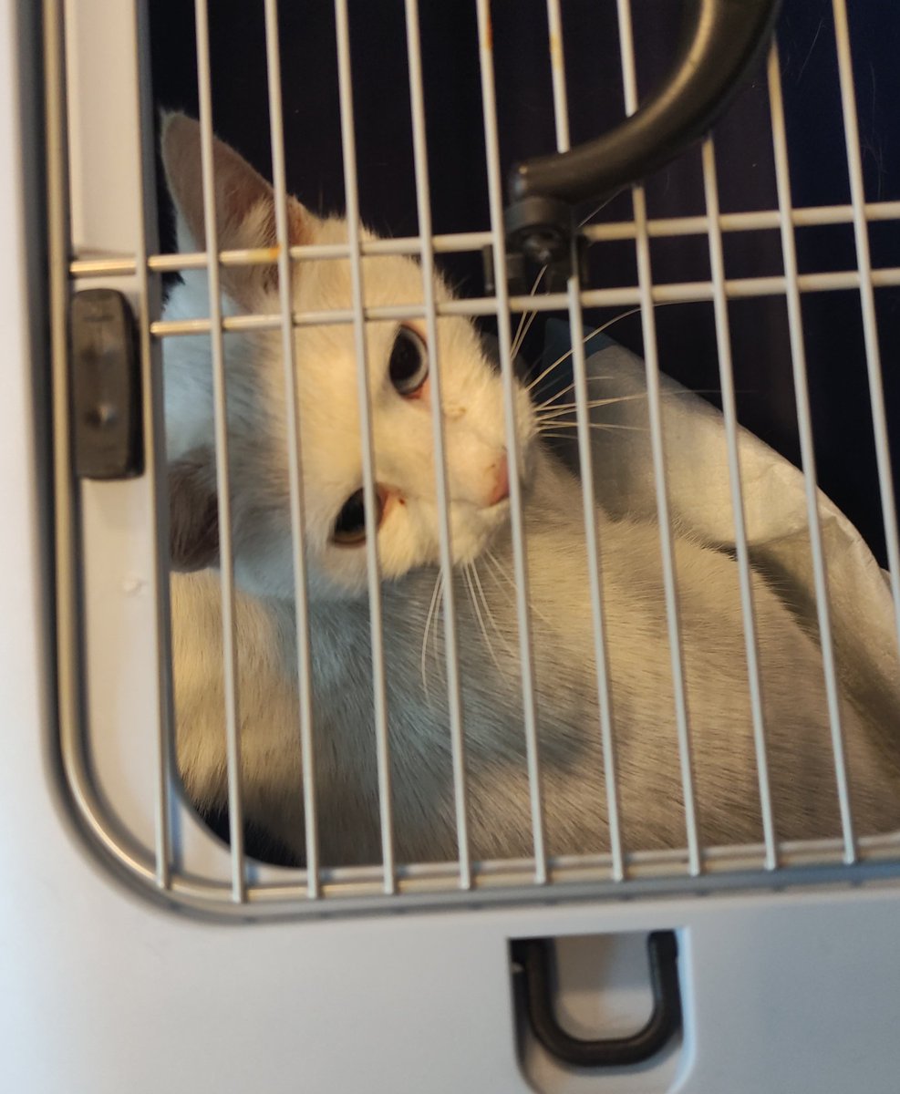 gabi ✨ tweet media