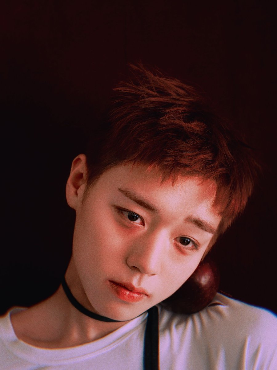 𝐏𝐈𝐍𝐊𝐖𝐈𝐍𝐆 tweet media