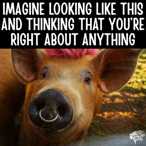 Zeuge Jebotes tweet media