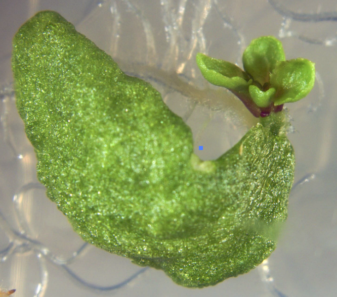 Ben Williams tweet media