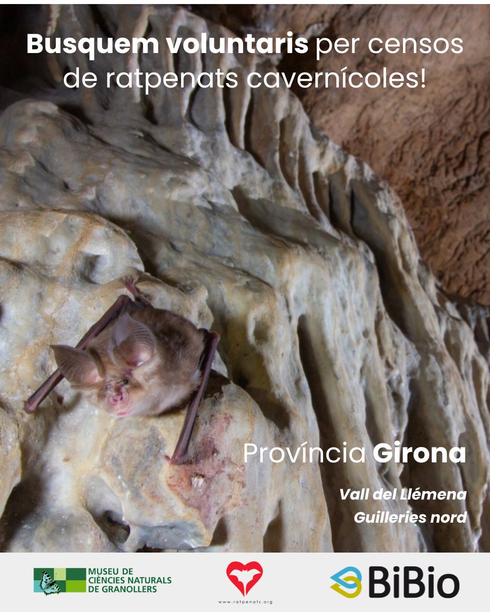Programa de Seguiment de Ratpenats tweet media