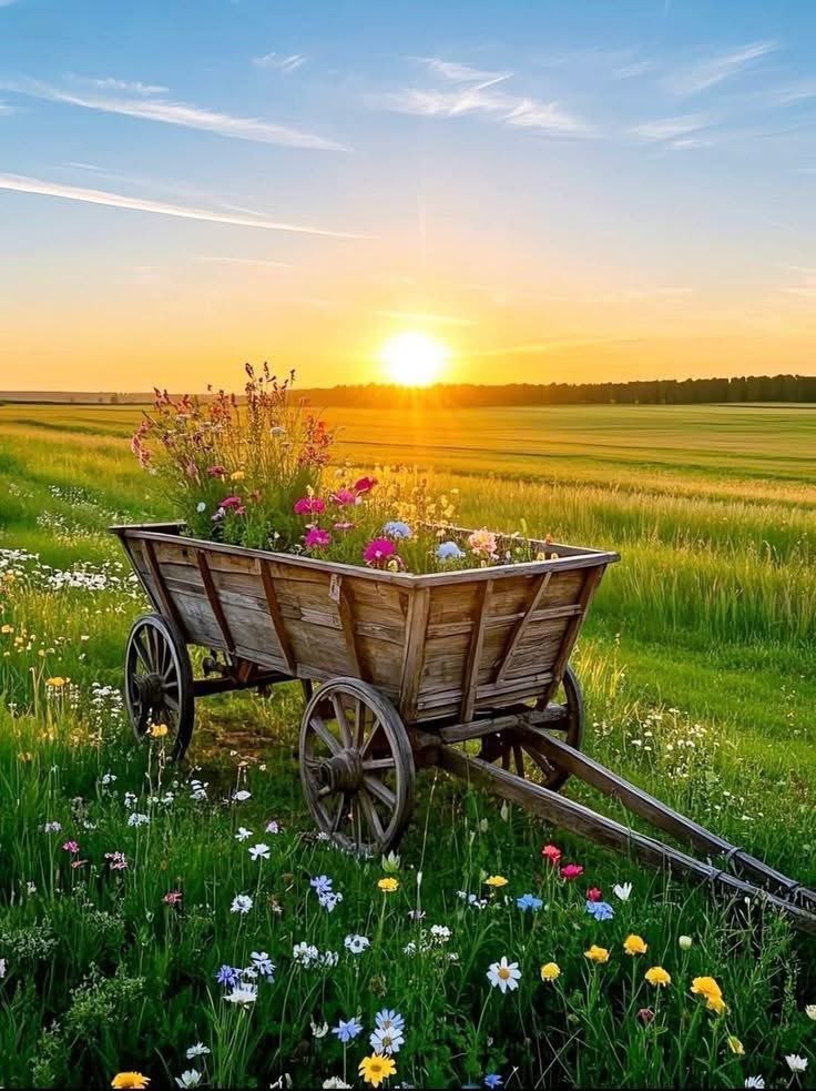 Khizar Hayat tweet media