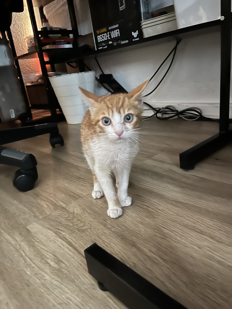 Momo (professional Yuta hater ) tweet media