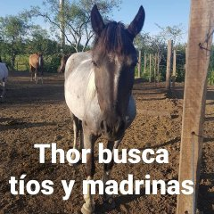 Jack ♦️ 🌳 #002 tweet media