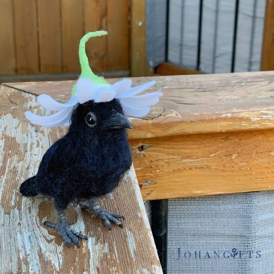 fifi 🍰 tweet media