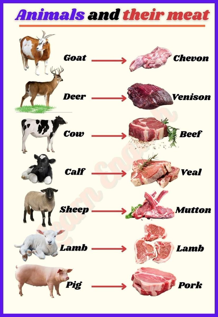 GrokBABA tweet media