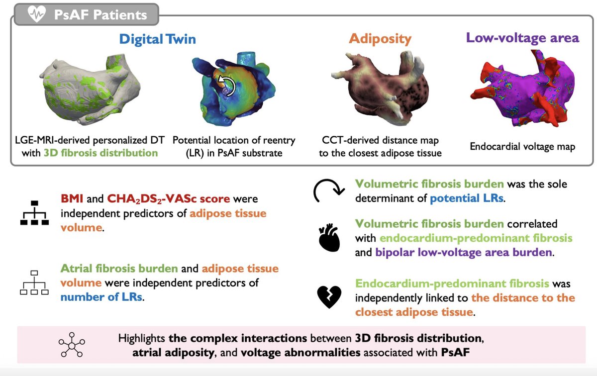 EuropaceEiC's tweet image. #Europace #EPeeps 

Complex interaction between fibrosis, atrial adiposity &amp;amp; low voltage associated with persistent AF...

📖 doi.org/10.1093/europa…

@NTrayanova 

@GiulioConteMD @FraSantoroMD @marcovitoloMD
@Dominik_Linz @AndyZhangMD @DavideMei93 @LuigiDiBiaseMD @EHRAPresident