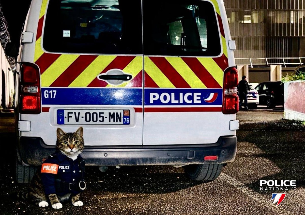 Police nationale 76 tweet media