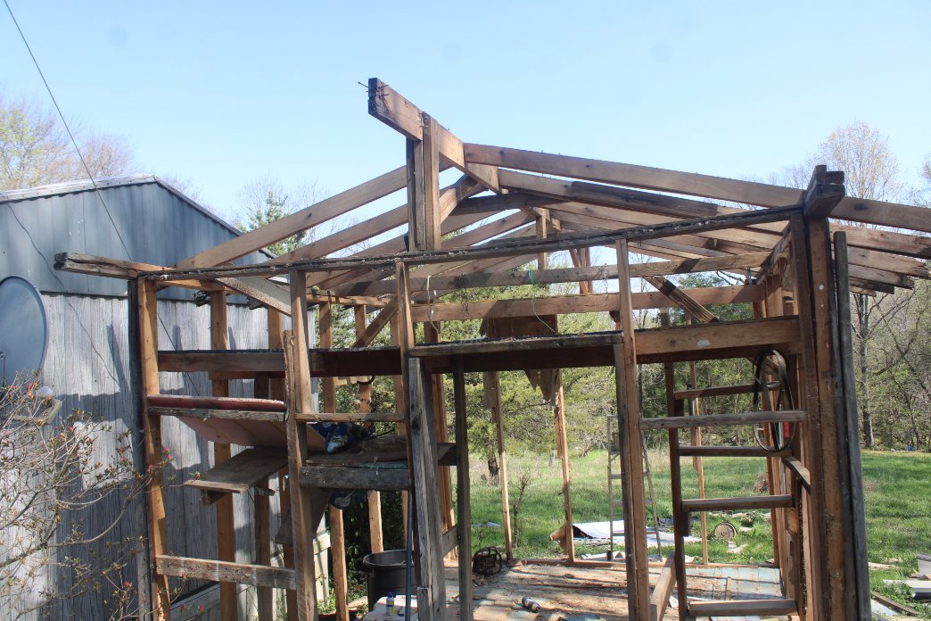 docsanderson's tweet image. #Scientists #Carpenter #RestorationProject #ApexPredator @HeartsofHeroes_ @danpeckwx
@Ginger_Zee @Nature Lizzie Deconstruction of sisters Shed is getting Tense. its wobbly already the more i remove the more unstable it gets. you have a nice voice Showgirl. Mwah Lee this Dangerous
