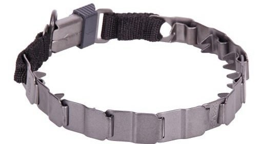 Lucía Hernández | Amo La Ciencia tweet media