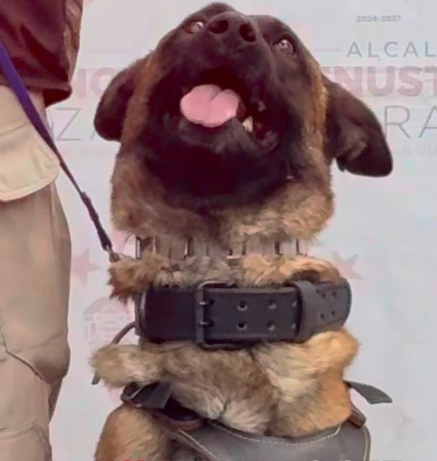 Lucía Hernández | Amo La Ciencia tweet media