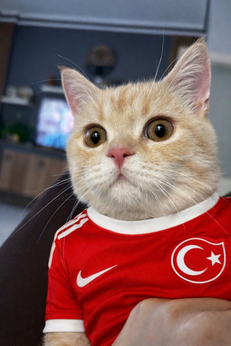 Eylül Derindere tweet media