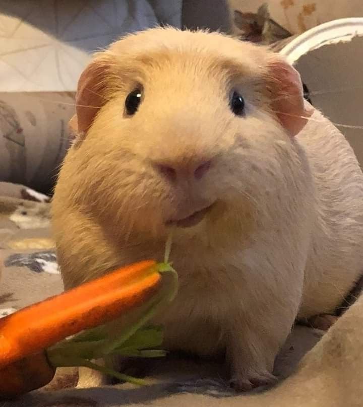 운끼아카이브 tweet media