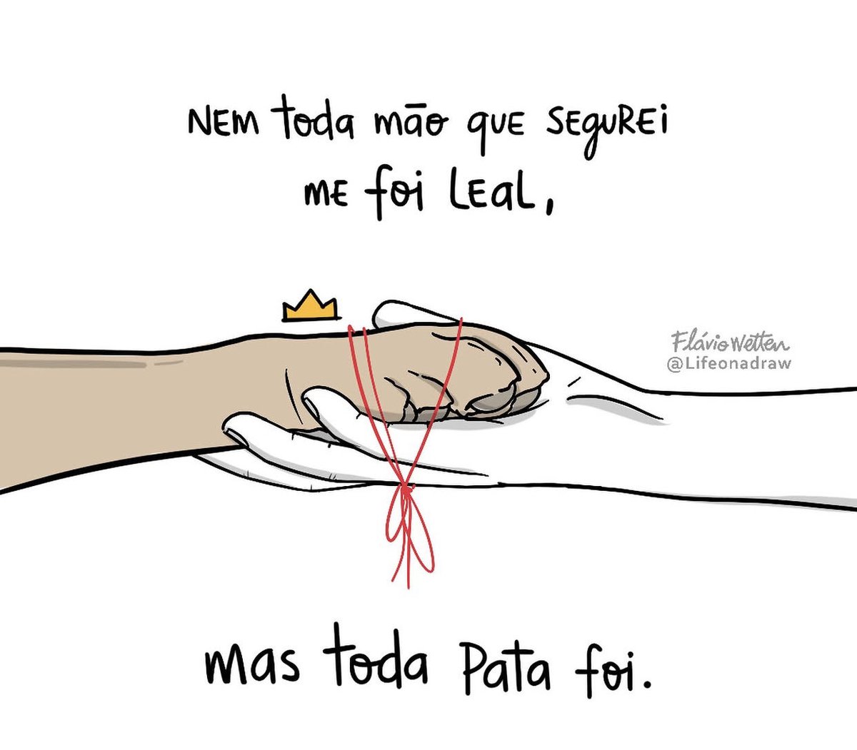 Alessandro Lo-Bianco 🐺 tweet media