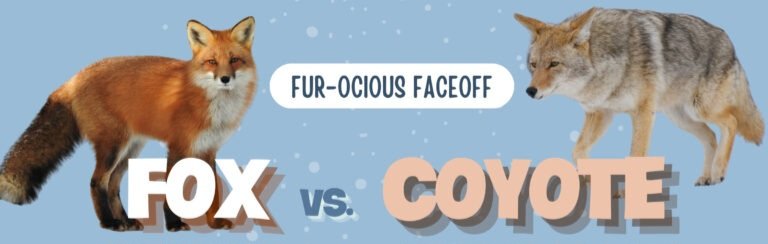 ฿ØØ₦Ɇ฿łØ₦ł₵₴ tweet media