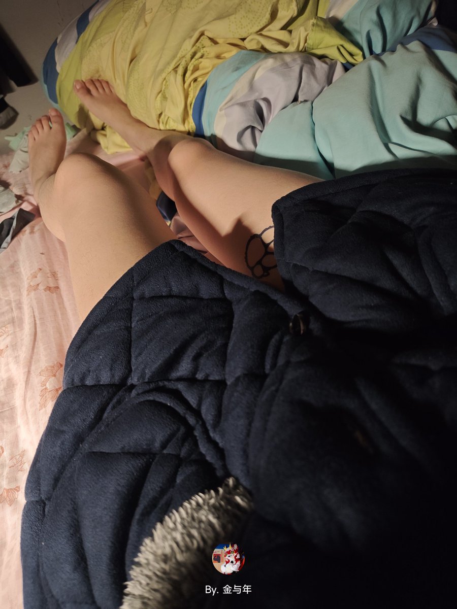 金与年🔜绒萌世界 tweet media