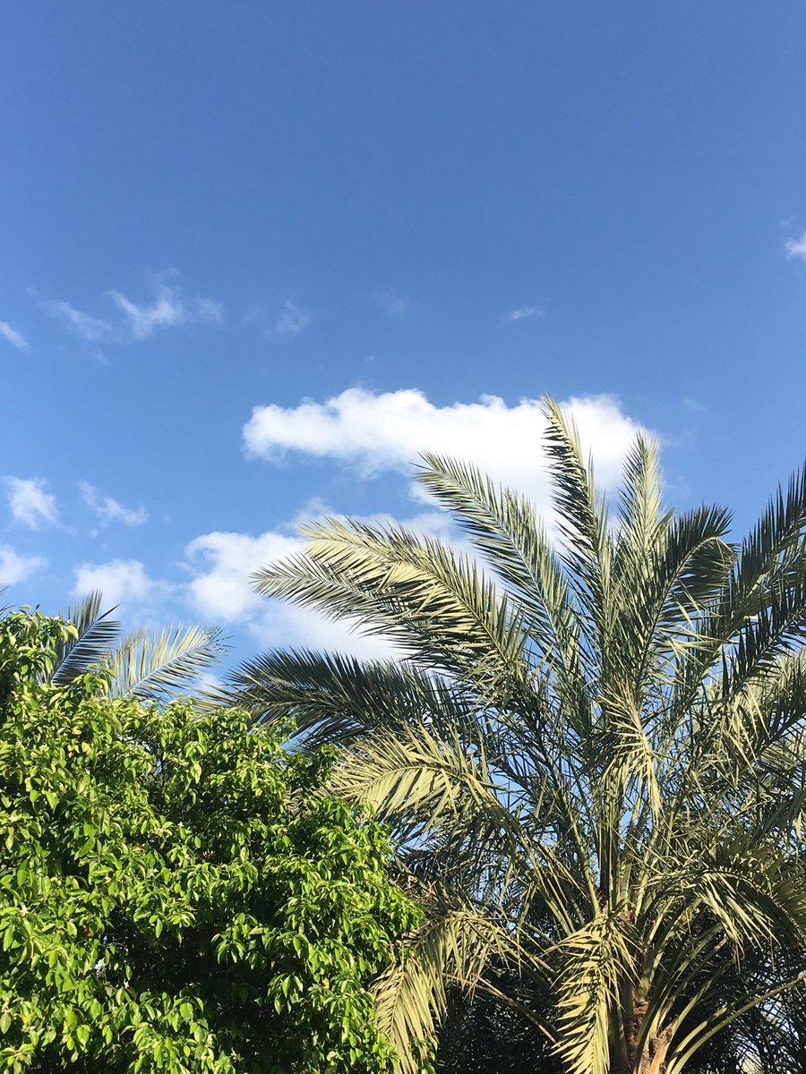 ‏أية tweet media