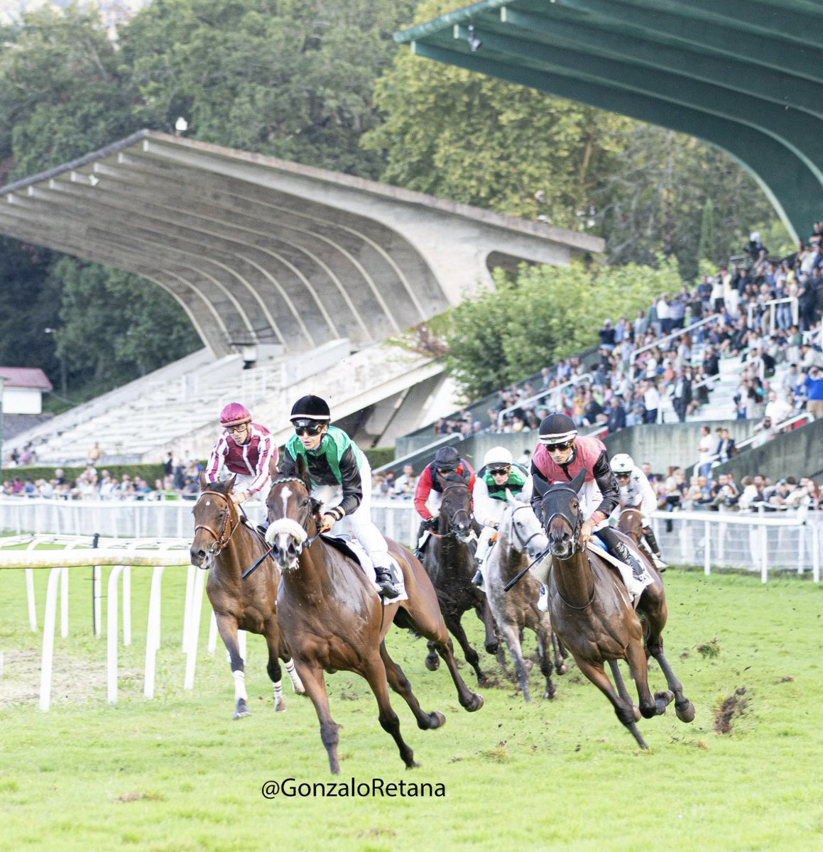 A Galopar tweet media