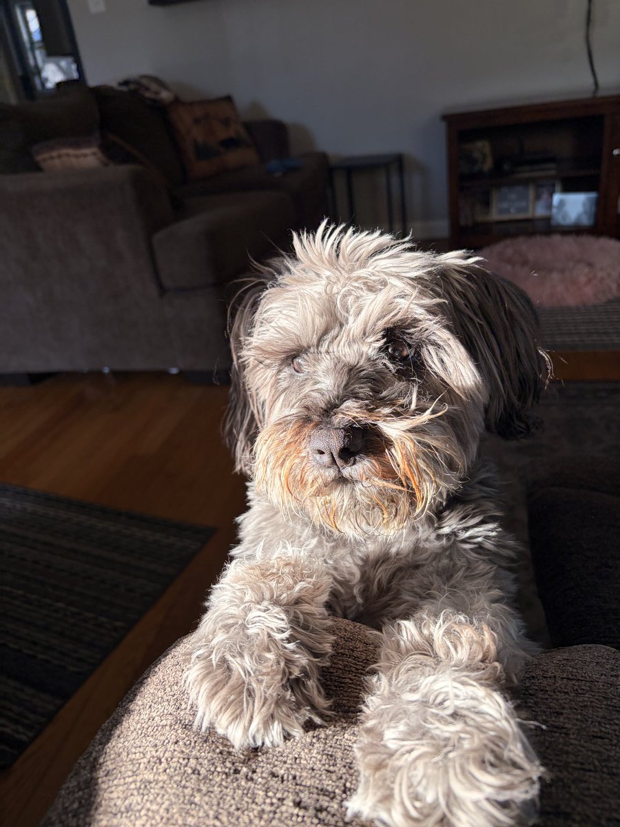 Linds 🌙🪷🦋 tweet media