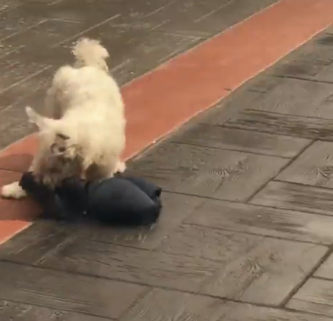 Emmanuel 💫 tweet media