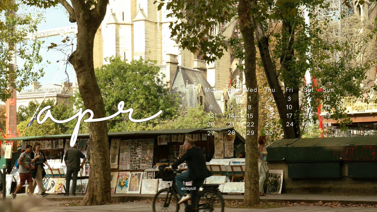 ꩜ .ᐟ tweet media