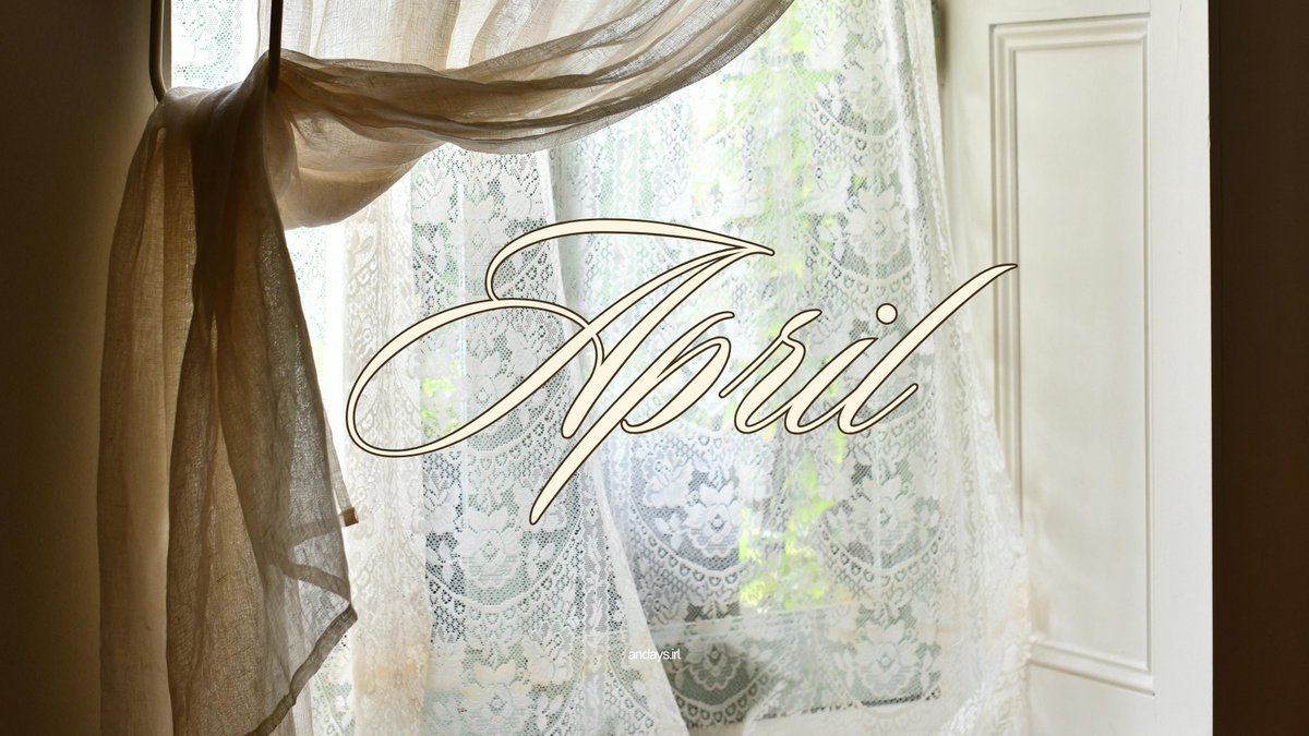 ꩜ .ᐟ tweet media