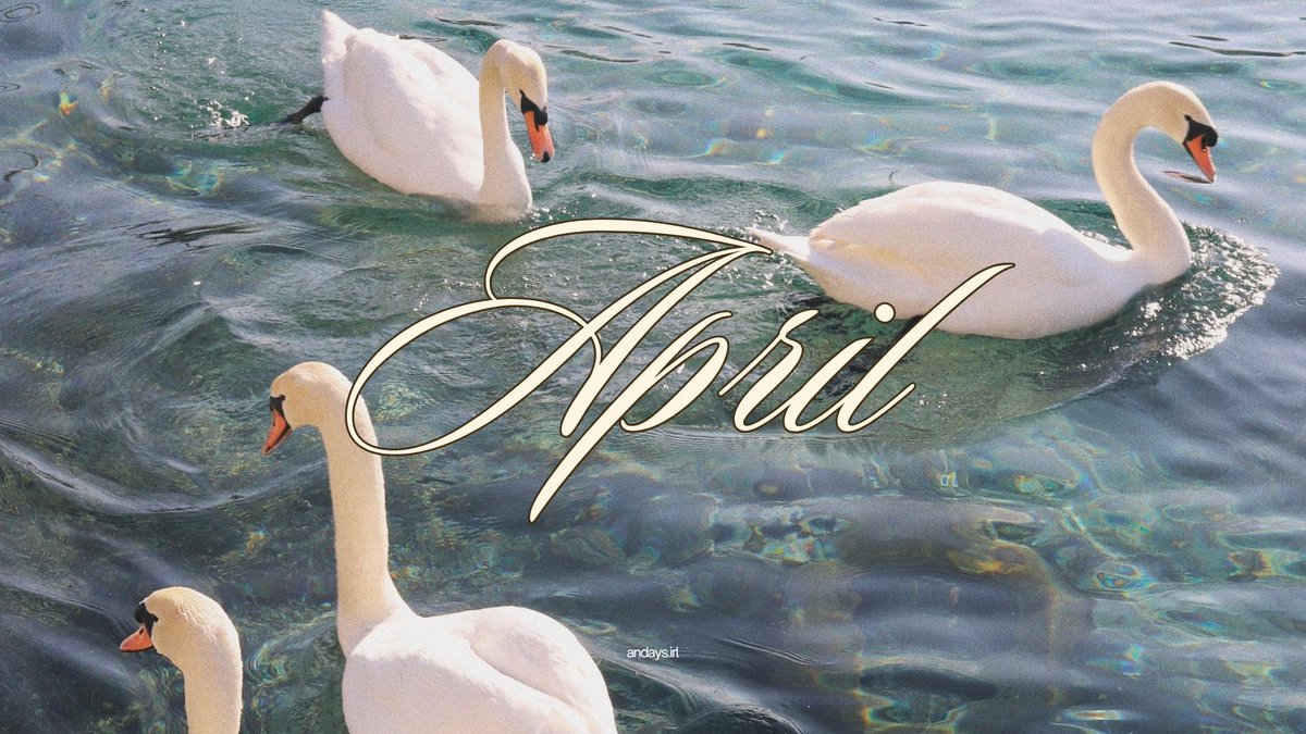 ꩜ .ᐟ tweet media