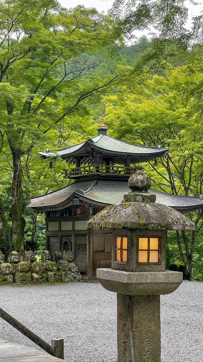 SoraHikari tweet media