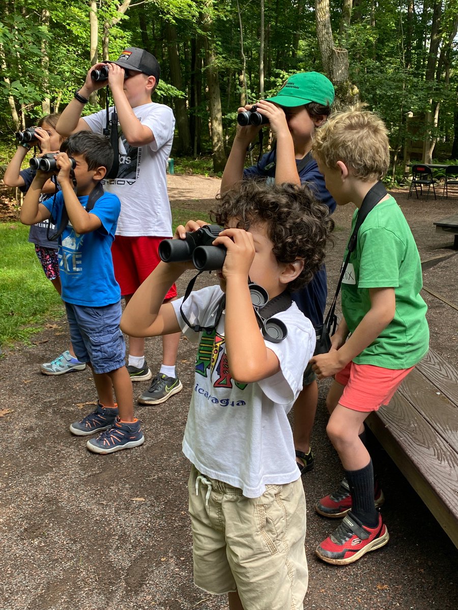 Hawk Mountain tweet media