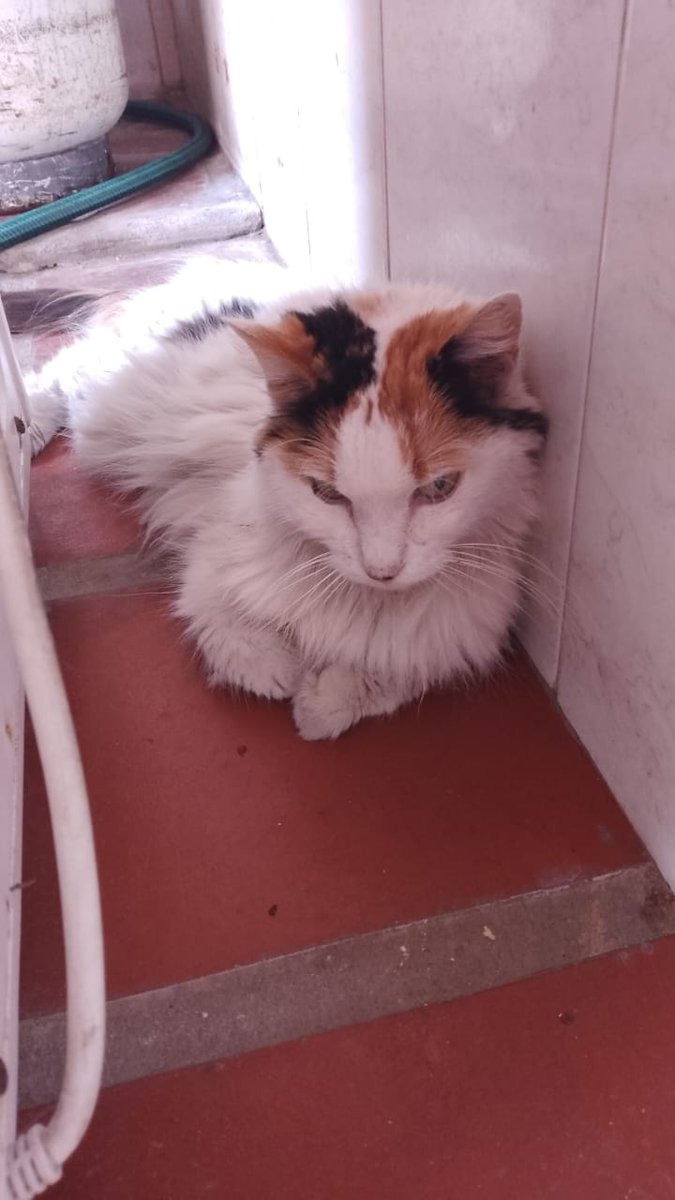 ✮Enan✮🇻🇪✧📌📌 tweet media