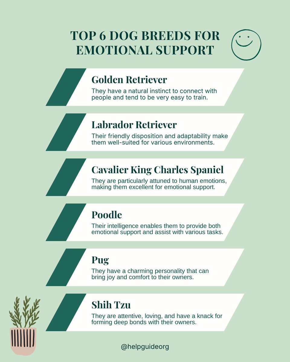 HelpGuide.org tweet media