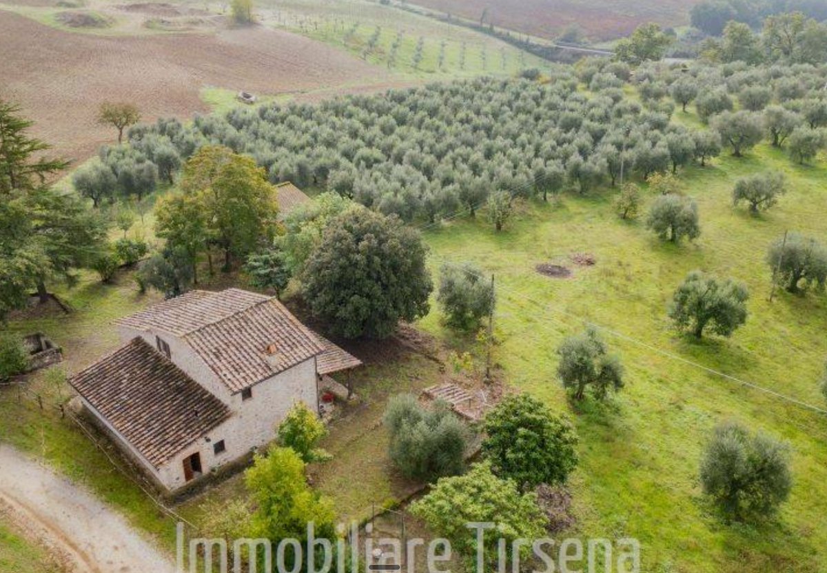 Alessandro Palombo tweet media