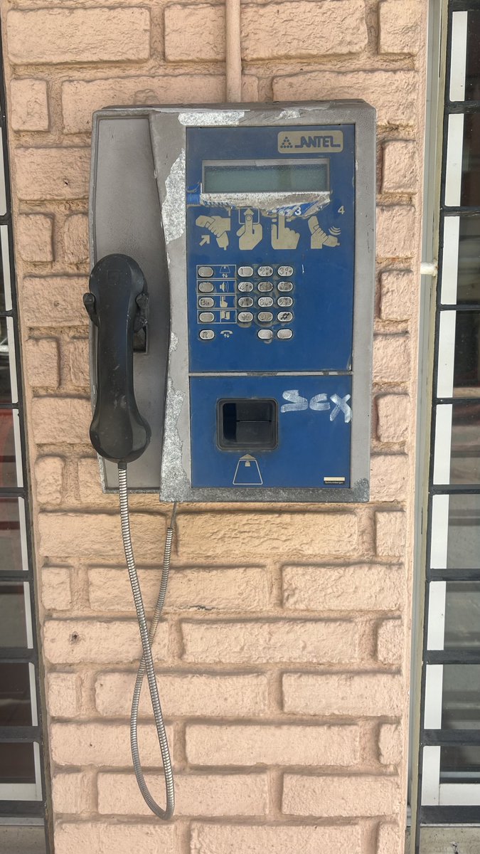 Patricia M. Mango tweet media