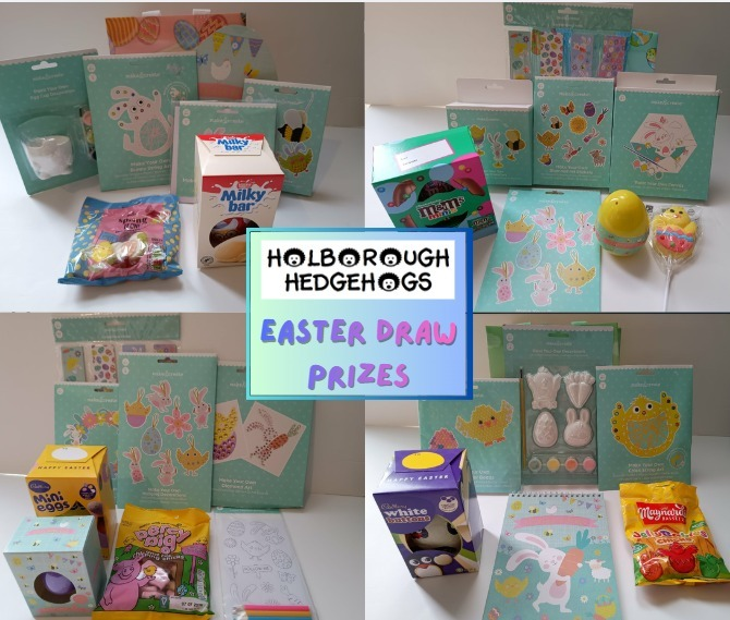 Holborough Hedgehogs tweet media