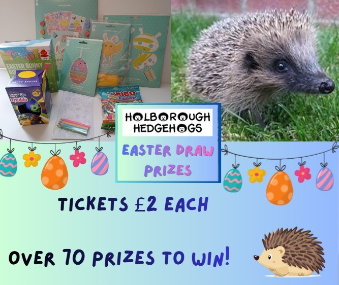 Holborough Hedgehogs tweet media