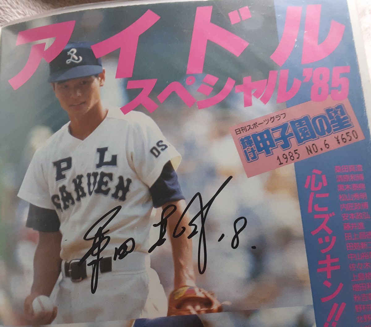 にゃんこ先生 tweet media