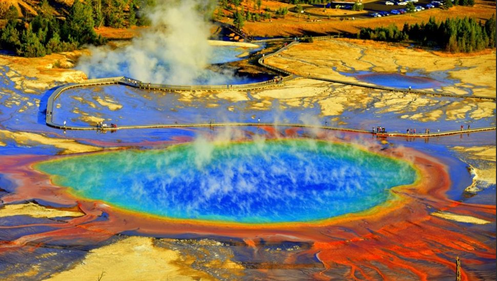 silentwosperer👻🎃 tweet media