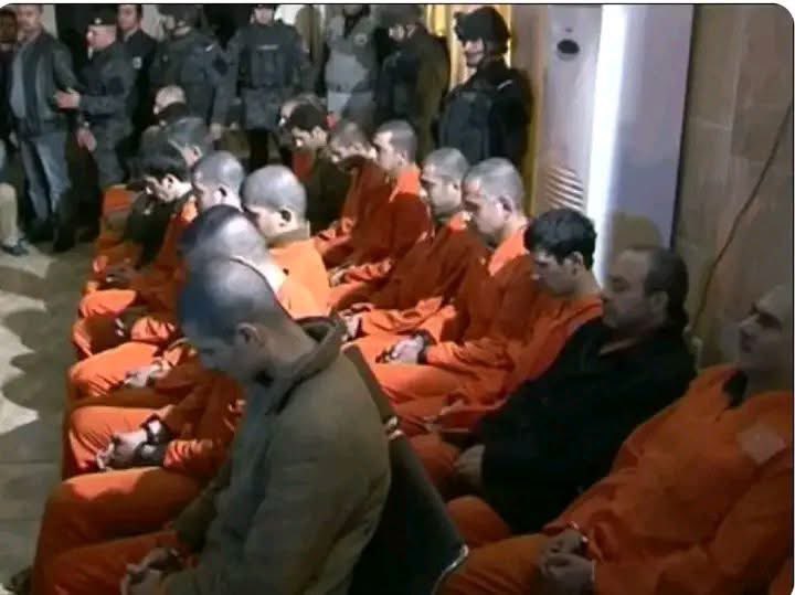 المشهدانية tweet media