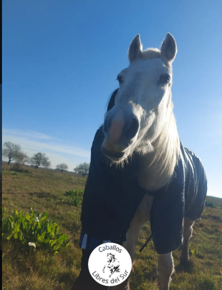 Jack ♦️ 🌳 #002 tweet media