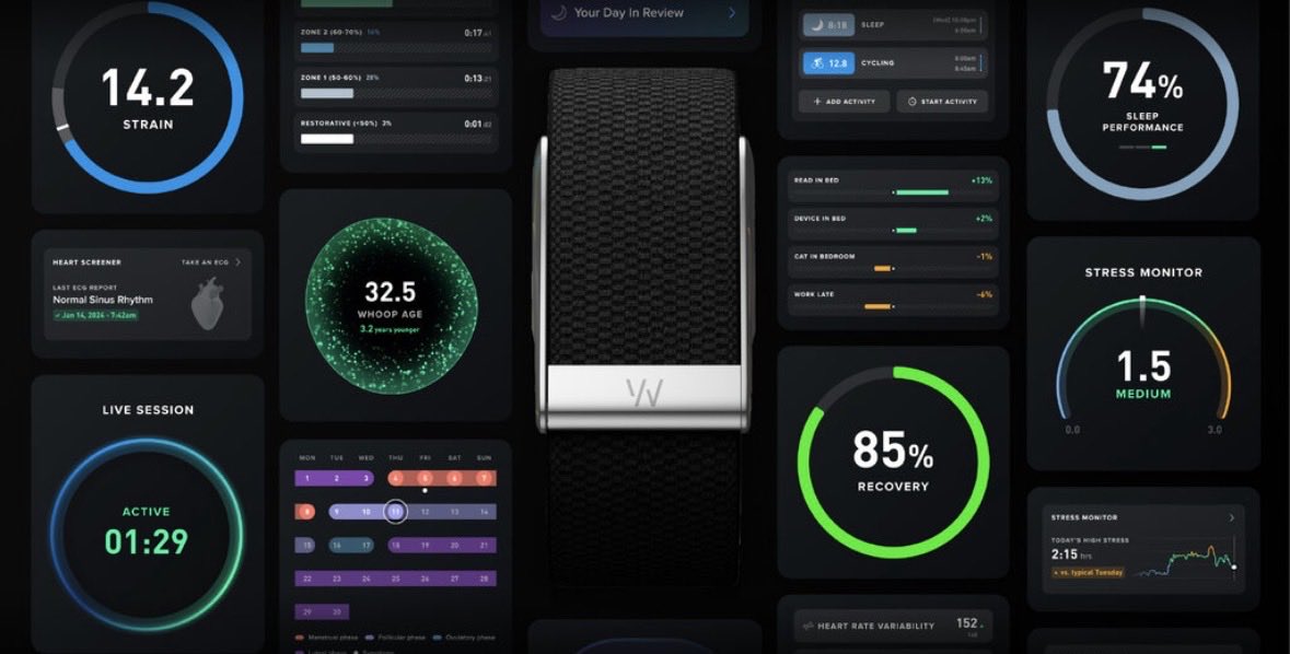 Short Squeez tweet media