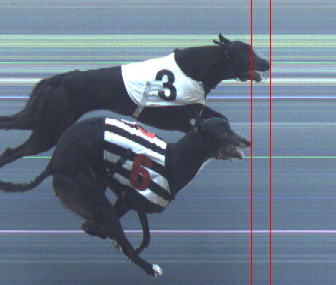 Romford Racing Office🐾 tweet media