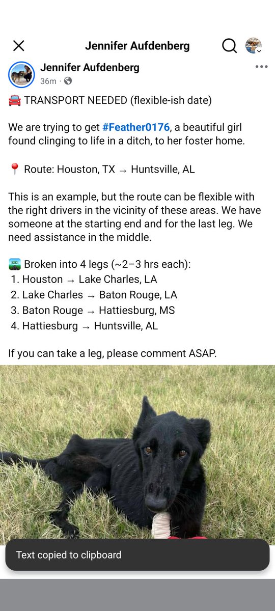 Justice For Samson tweet media