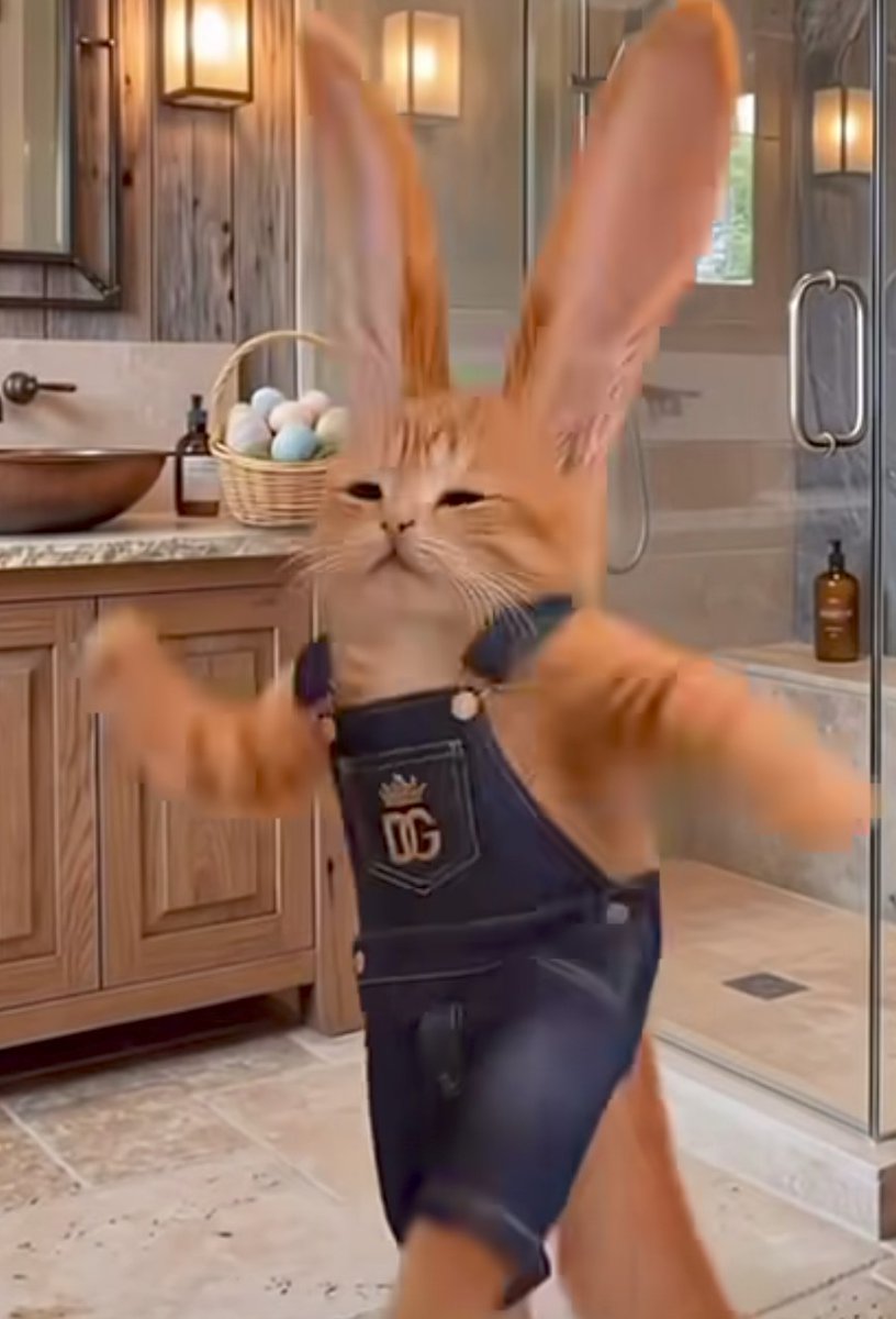 Jennifer Dibble tweet media