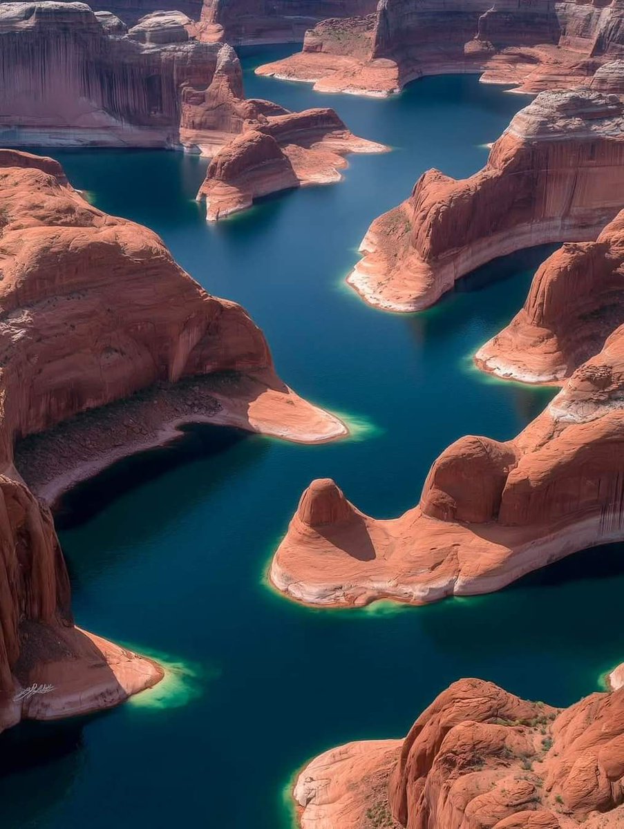 puppeteer tweet media