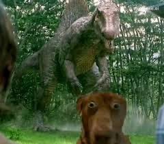 Rinurin🍓in da pitt tweet media