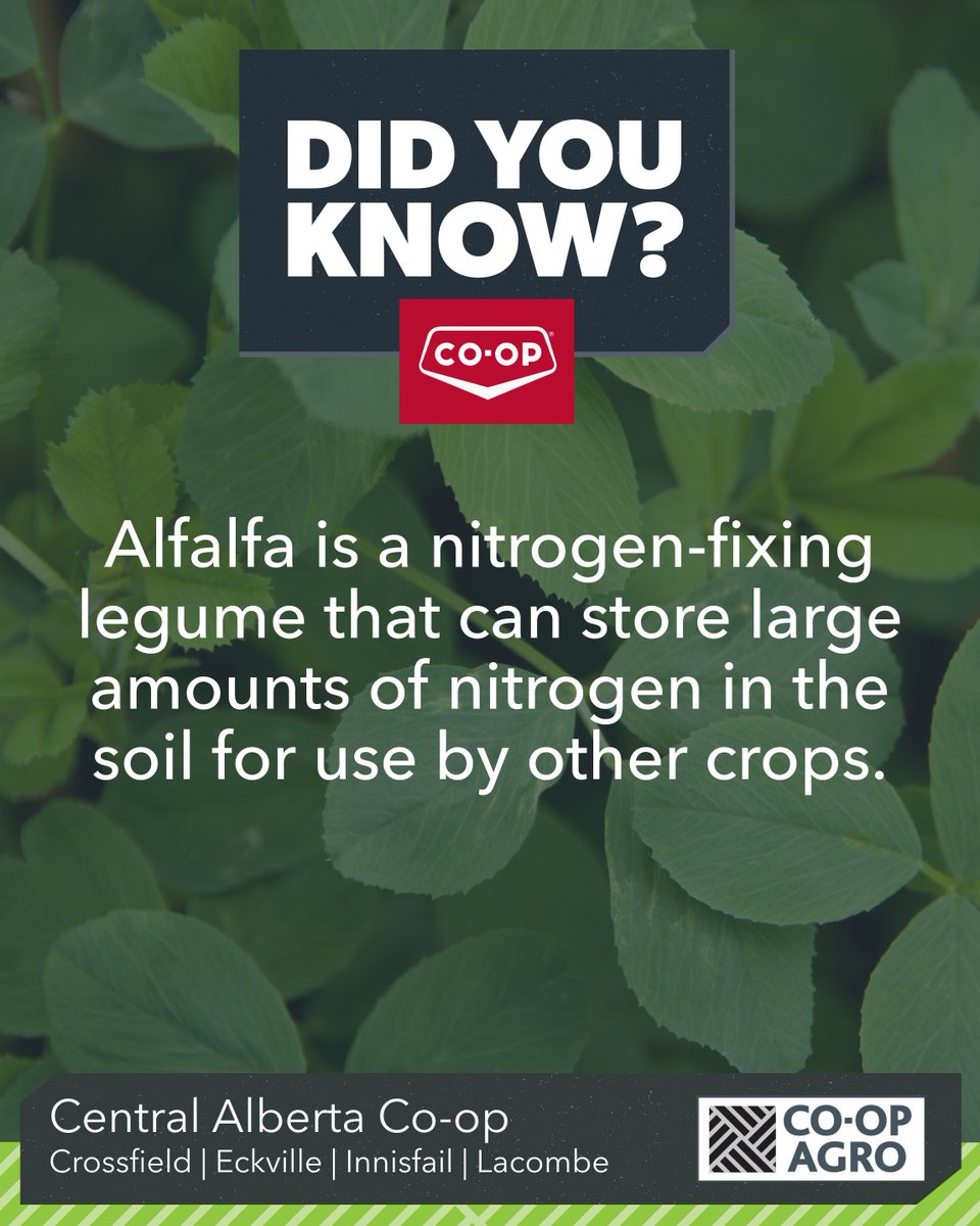 Central Alberta Co-op Agro tweet media