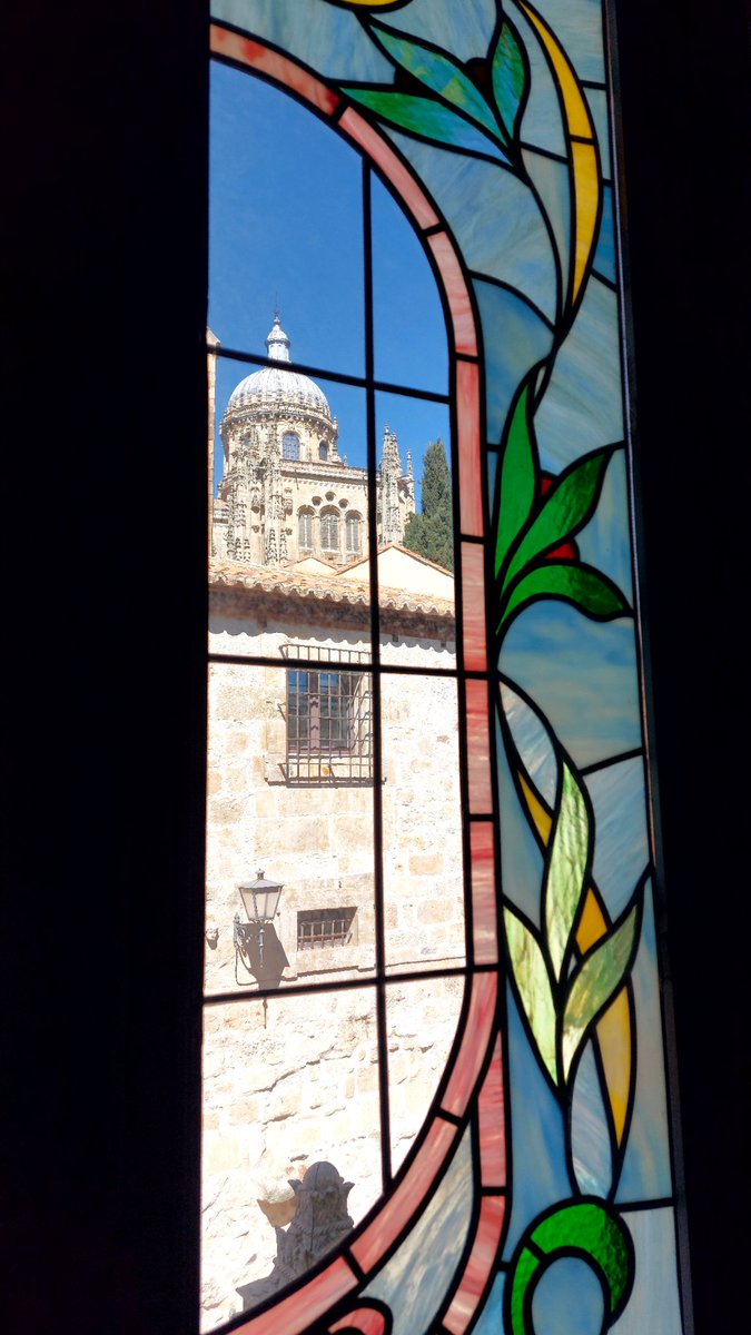 Cristina alonso maeso tweet media